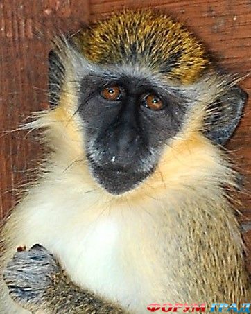 самостоятельные путешествия