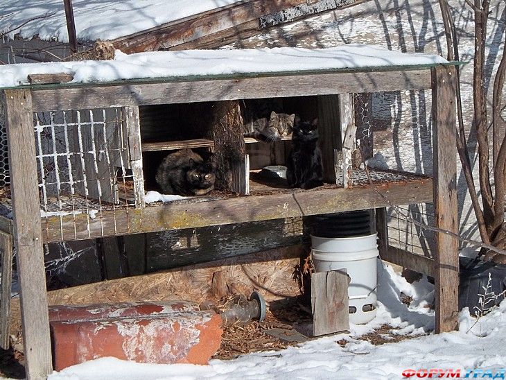 самостоятельные путешествия