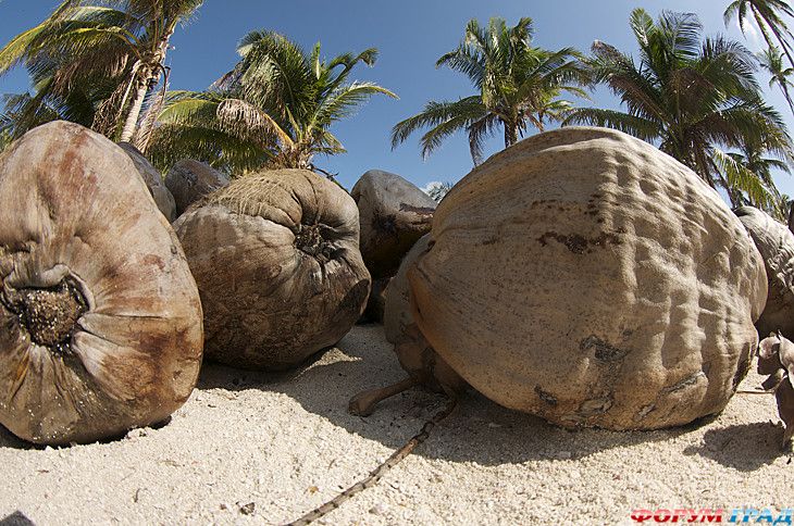 самостоятельные путешествия