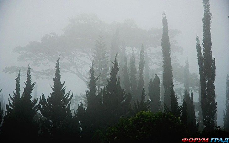 самостоятельные путешествия