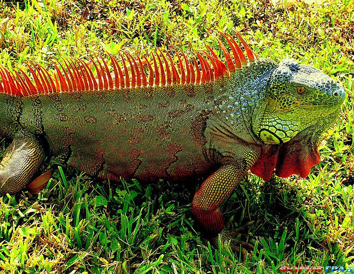 самостоятельные путешествия