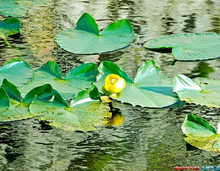 самостоятельные путешествия