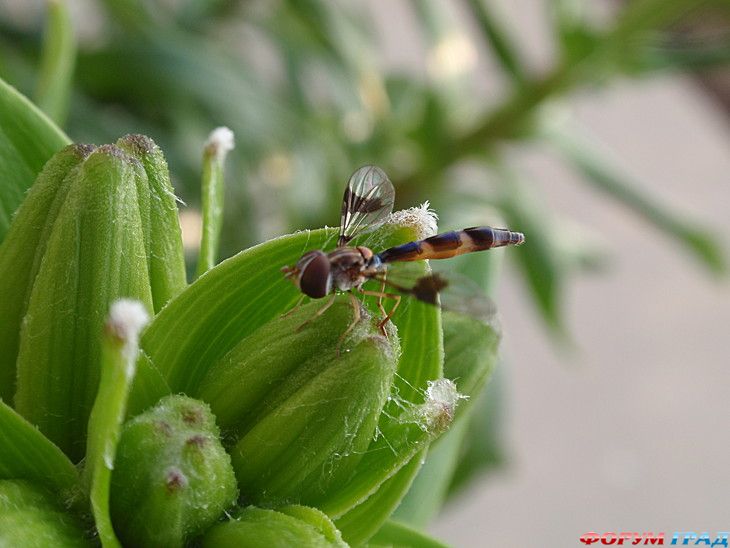 самостоятельные путешествия