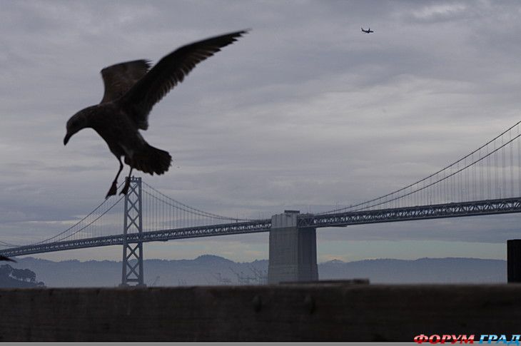 самостоятельные путешествия