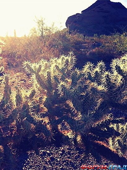 самостоятельные путешествия