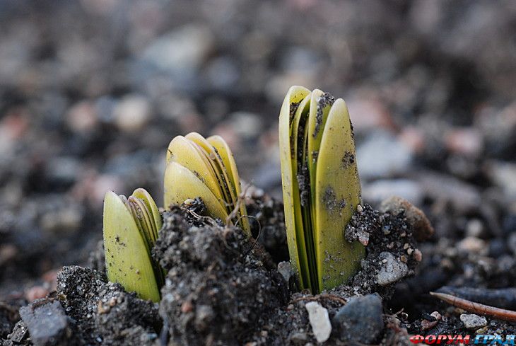 самостоятельные путешествия
