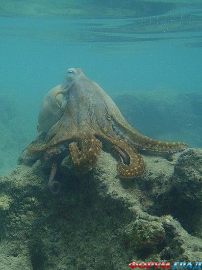 самостоятельные путешествия