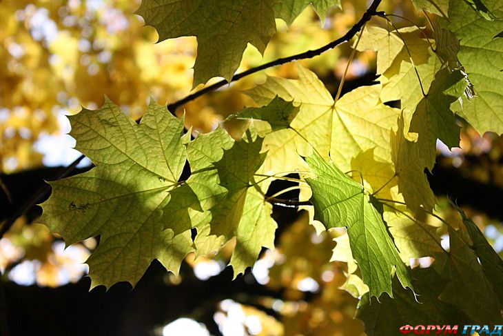 самостоятельные путешествия