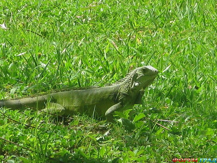 самостоятельные путешествия