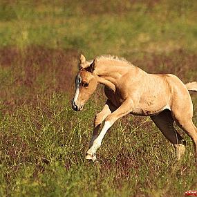 самостоятельные путешествия