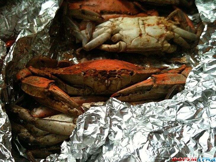 самостоятельные путешествия