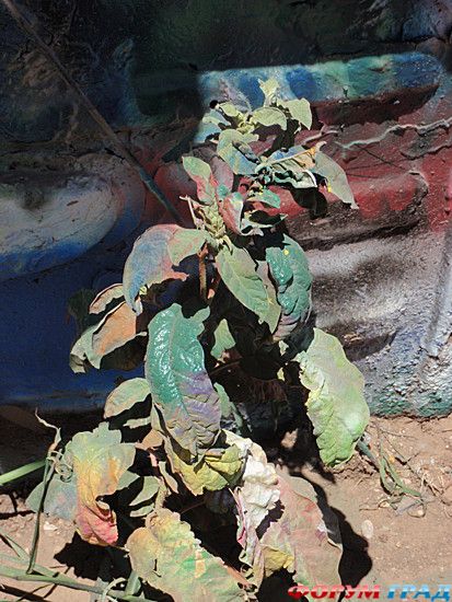 самостоятельные путешествия