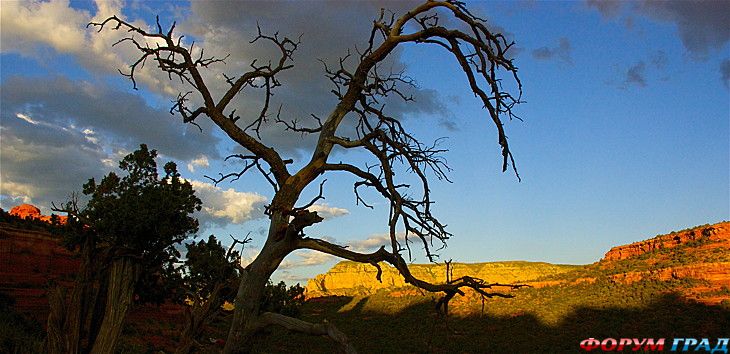 самостоятельные путешествия