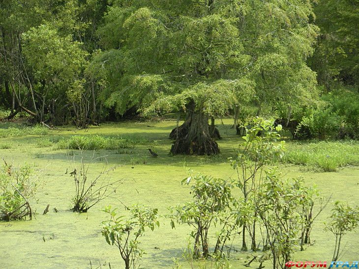 самостоятельные путешествия
