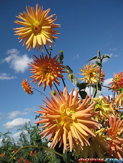 самостоятельные путешествия