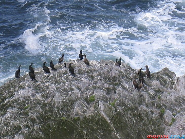 самостоятельные путешествия