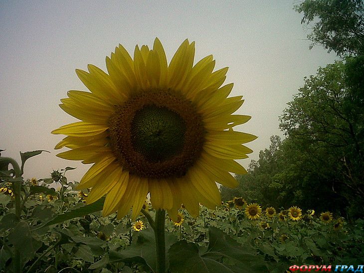 самостоятельные путешествия