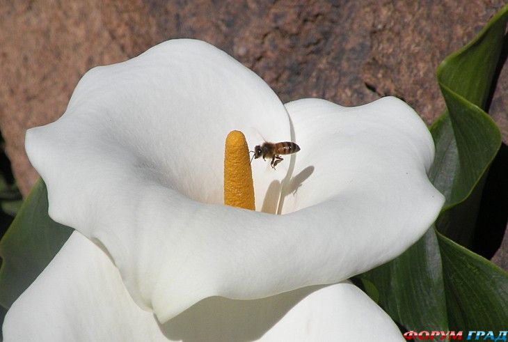 самостоятельные путешествия