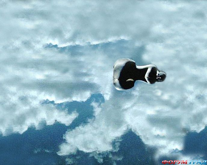 самостоятельные путешествия