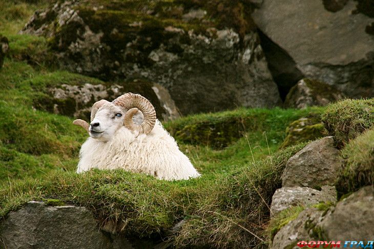 самостоятельные путешествия