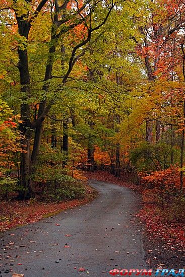 самостоятельные путешествия