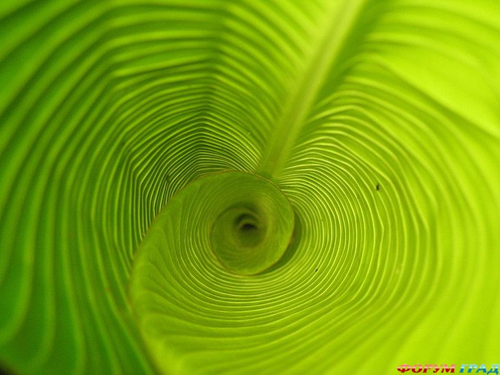 самостоятельные путешествия