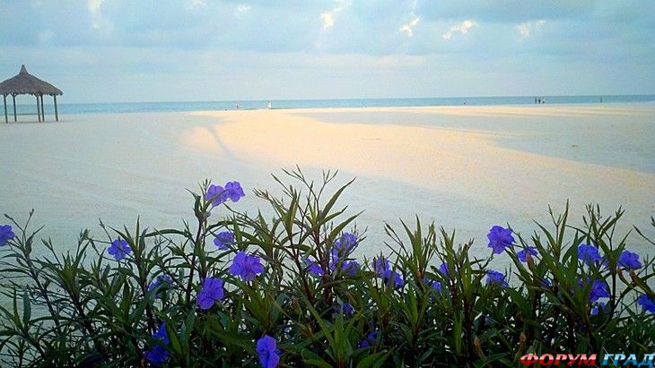 самостоятельные путешествия