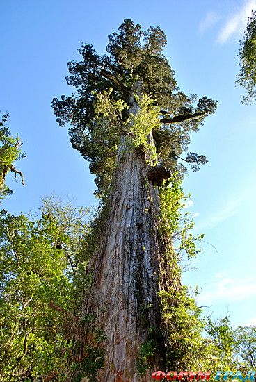 самостоятельные путешествия