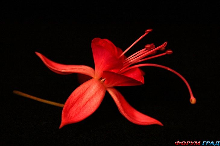 самостоятельные путешествия