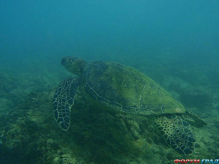 самостоятельные путешествия