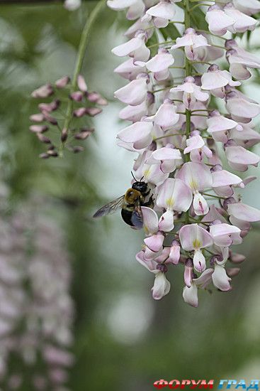 самостоятельные путешествия