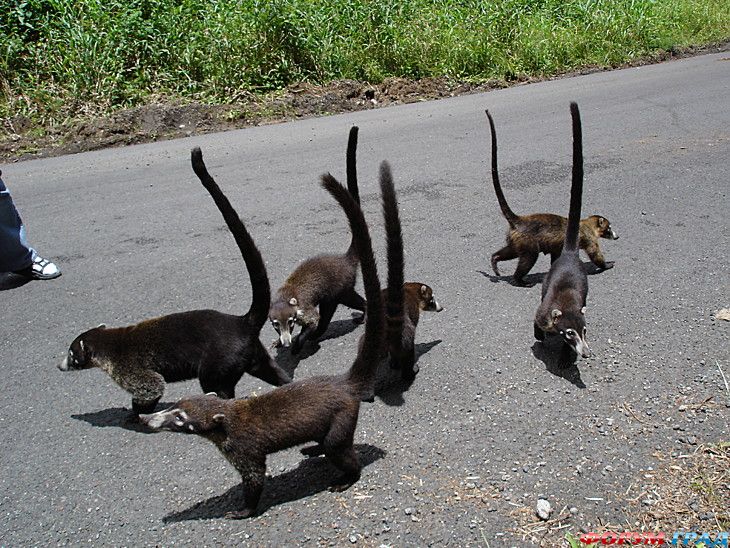 самостоятельные путешествия