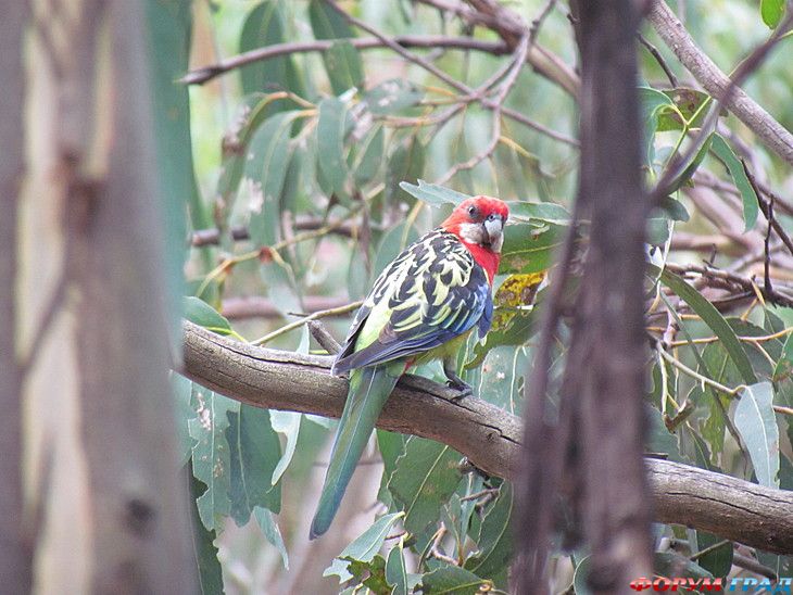 самостоятельные путешествия