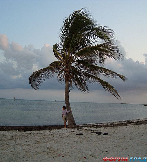 самостоятельные путешествия