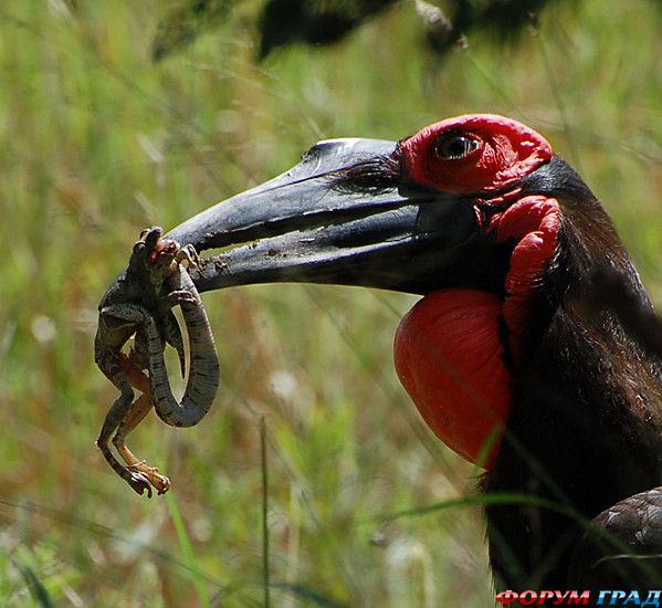 самостоятельные путешествия