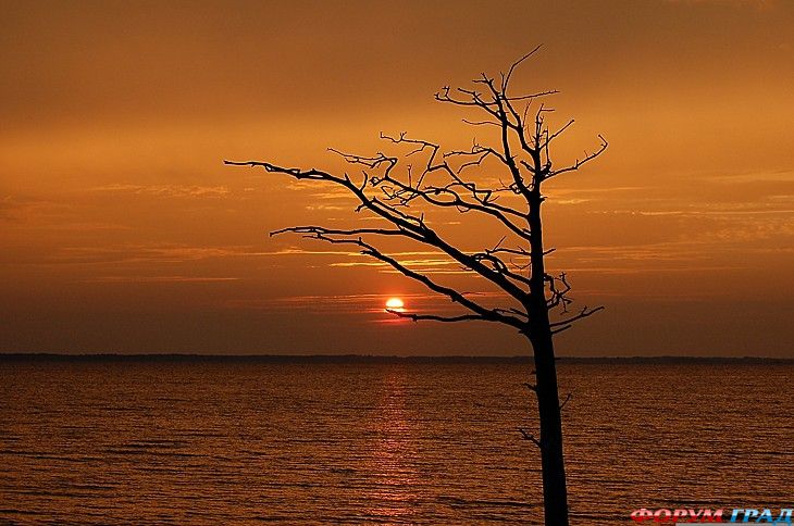 самостоятельные путешествия