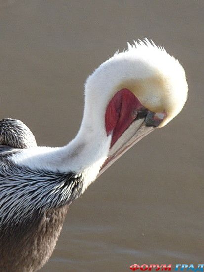 самостоятельные путешествия