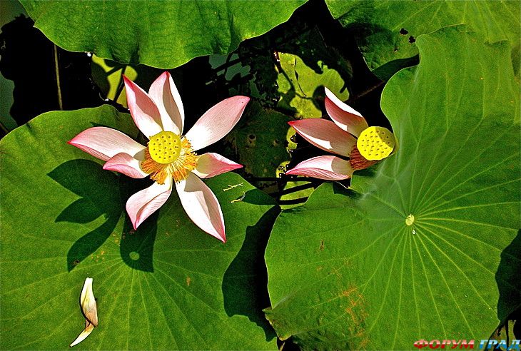 самостоятельные путешествия