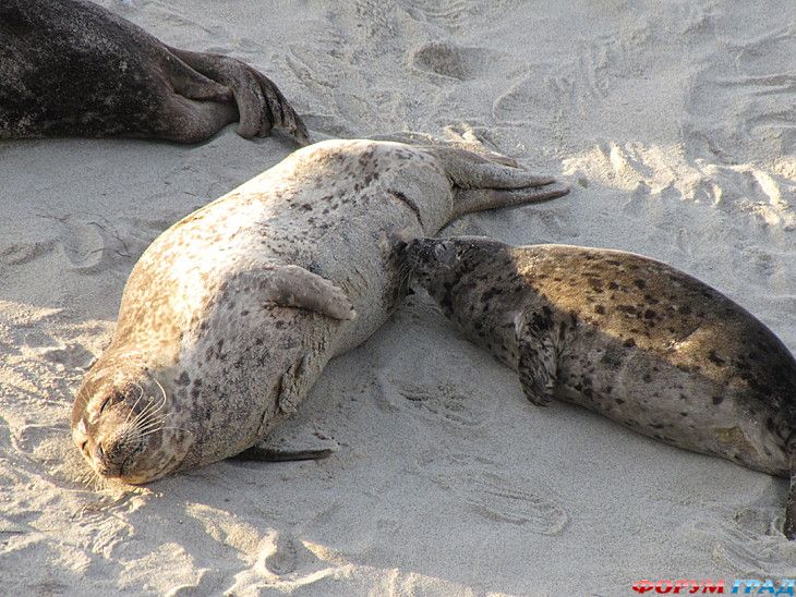 самостоятельные путешествия