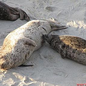 самостоятельные путешествия