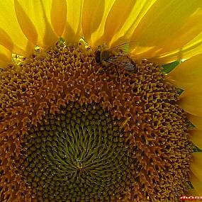 самостоятельные путешествия