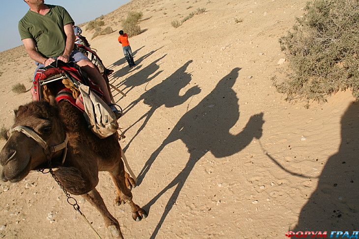 самостоятельные путешествия