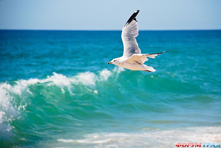 самостоятельные путешествия