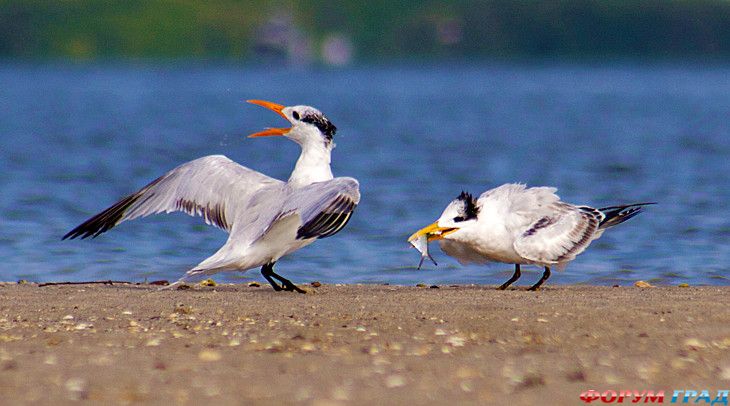 самостоятельные путешествия