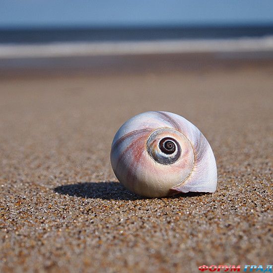 самостоятельные путешествия