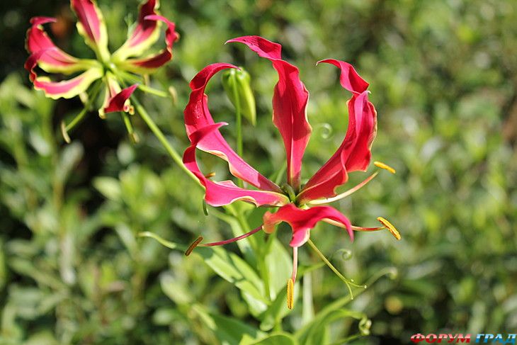 самостоятельные путешествия