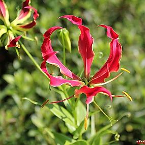 самостоятельные путешествия