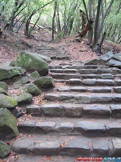 самостоятельные путешествия