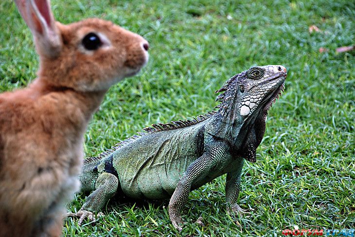 самостоятельные путешествия