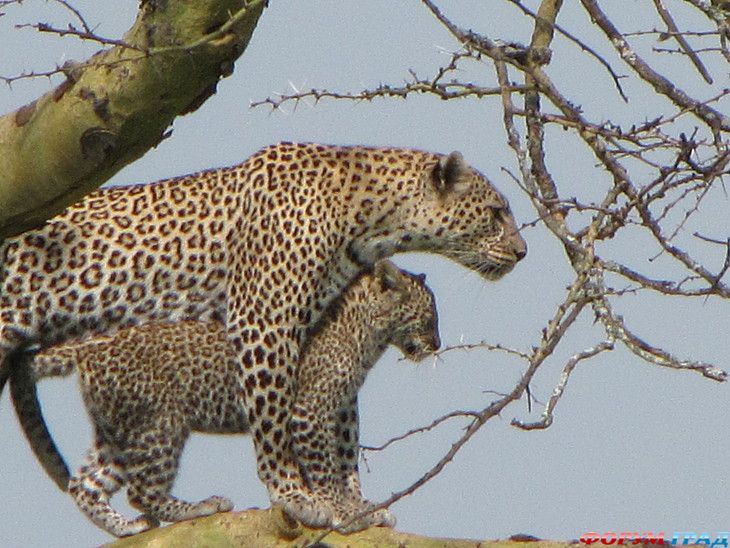 самостоятельные путешествия